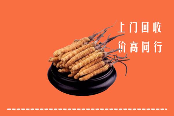 高价求购：顺庆区回收散虫草