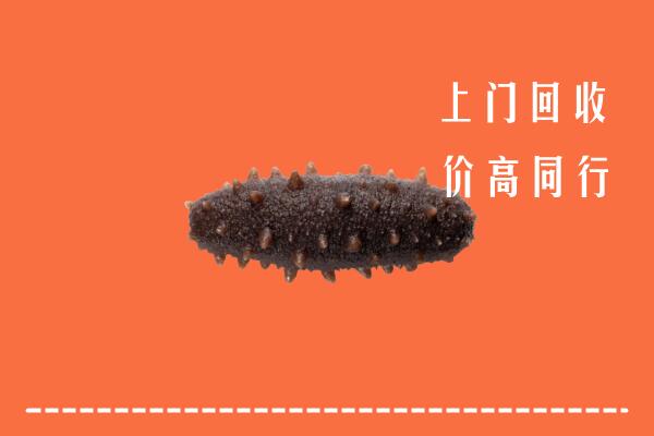 高价求购：顺庆区回收海参
