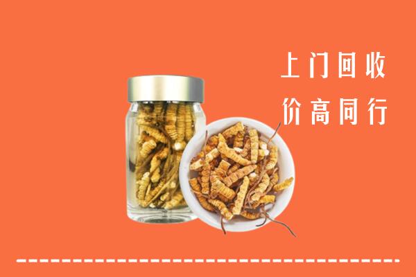 顺庆区回收冬虫夏草